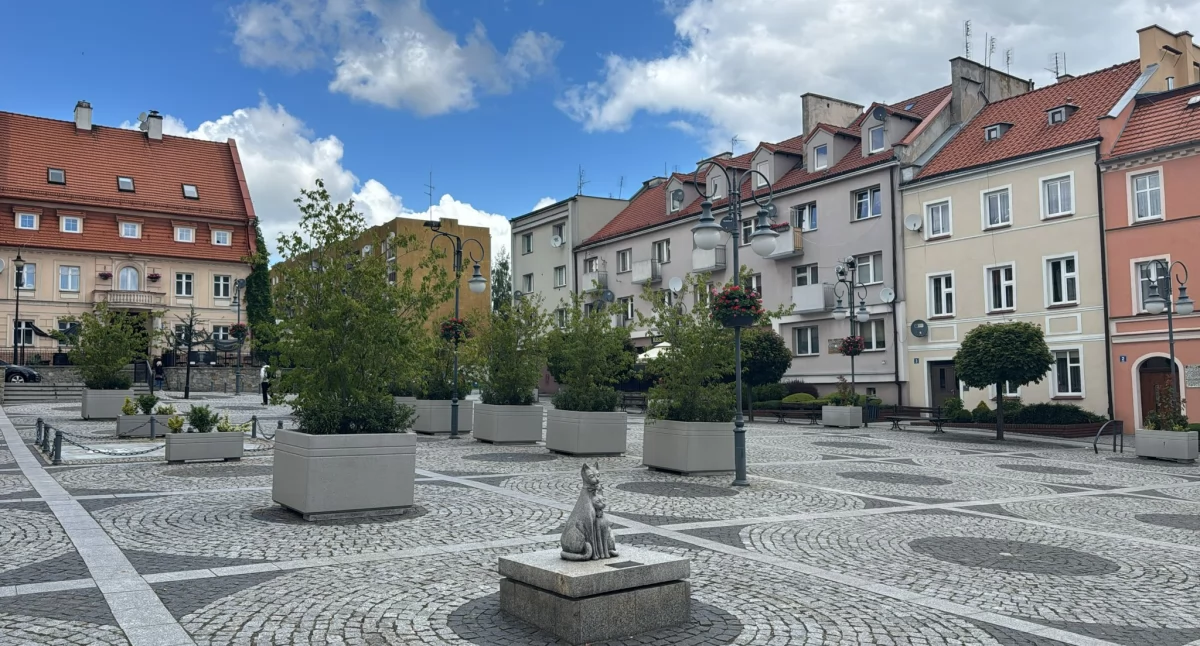 Trzebnica. Betonowa kostka i gazony