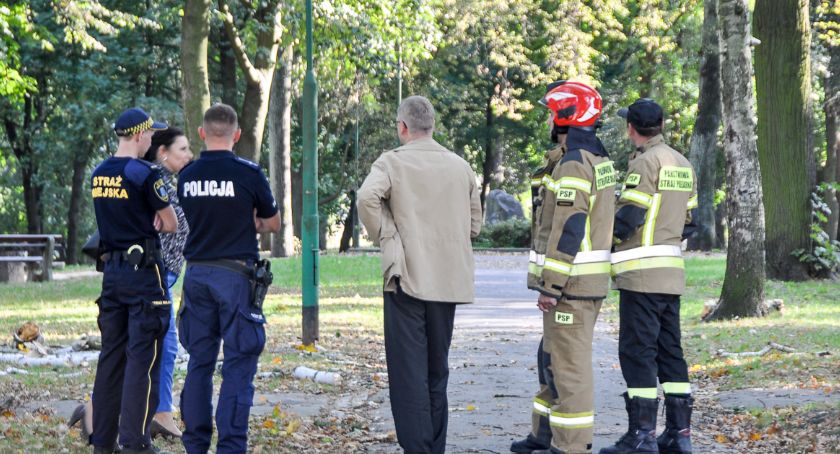 POZOSTAŁE ZDARZENIA, Tragedia Parku Miejskim Trzebnicy doszło zaniedbań Ujawniamy zaskakujące fakty dokumenty - zdjęcie, fotografia