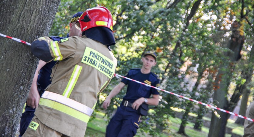 Park Miejski w Trzebnicy