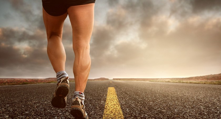 Zdjęcie kinkate z Pixabay