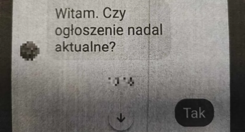 Fragment korespondencji mężczyzny z oszustem