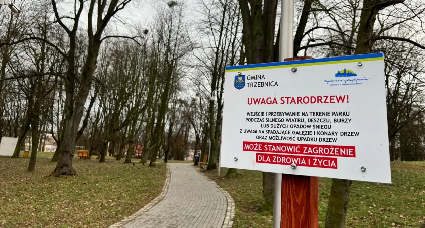 Trzebnica. park Kaczyńskich