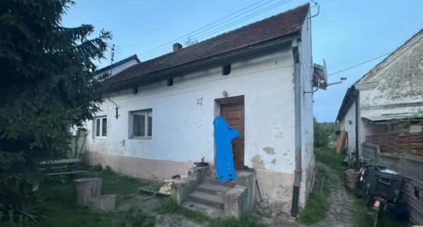 Materiały nadesłane