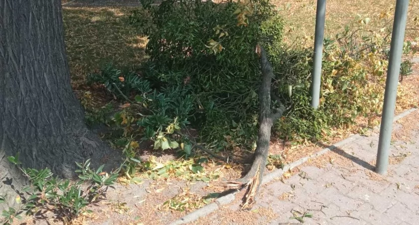 Zdjęcie od czytelnika