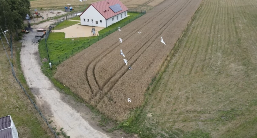 Świetlica w miejscowości Brzezie