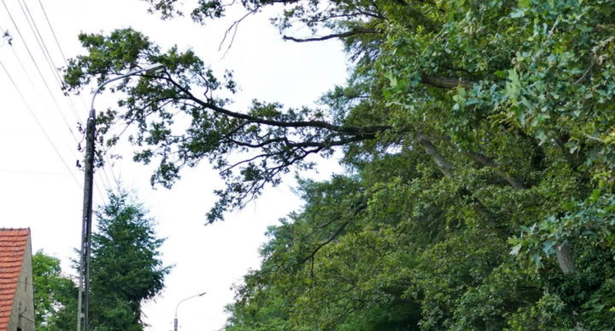 OD CZYTELNIKÓW, Obawy mieszkanki Urząd zareagował - zdjęcie, fotografia