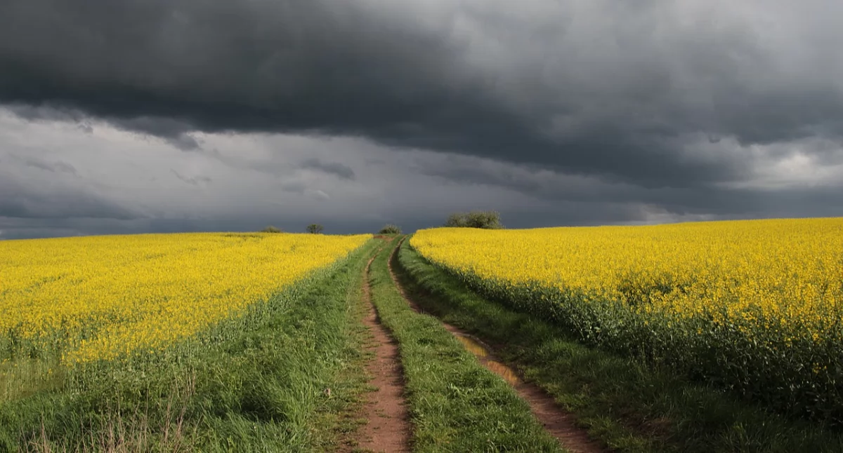 Zdjęcie poglądowe (pixabay.com)