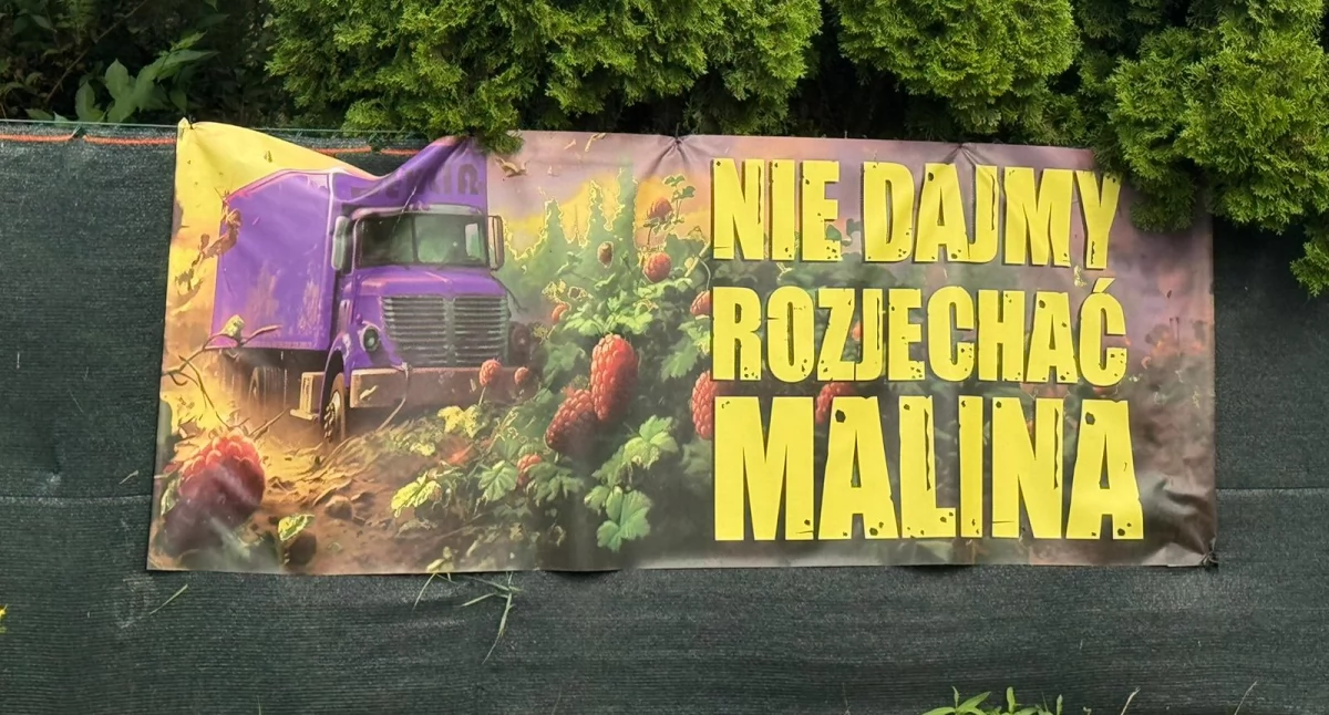 EKOLOGIA, Raport żurawia - zdjęcie, fotografia