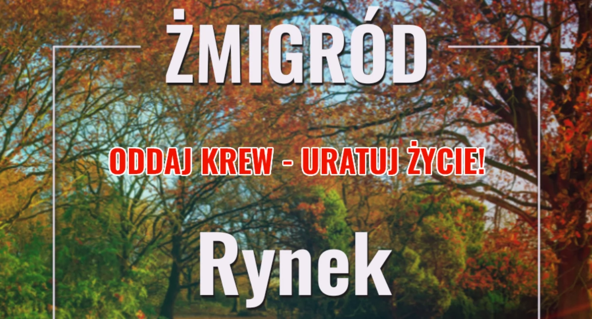 Będzie można oddać krew w Żmigrodzie