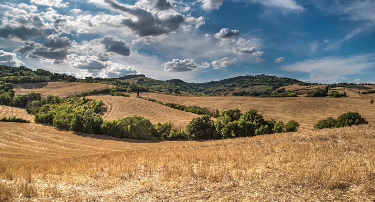 Zdjęcie poglądowe (pixabay.com)