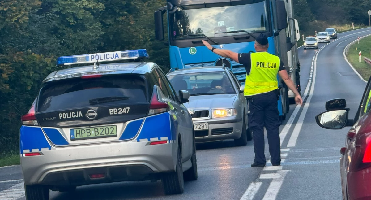 WYPADKI DROGOWE, Czołowe zderzenie Skoroszowem utrudnienia ruchu drogowym - zdjęcie, fotografia
