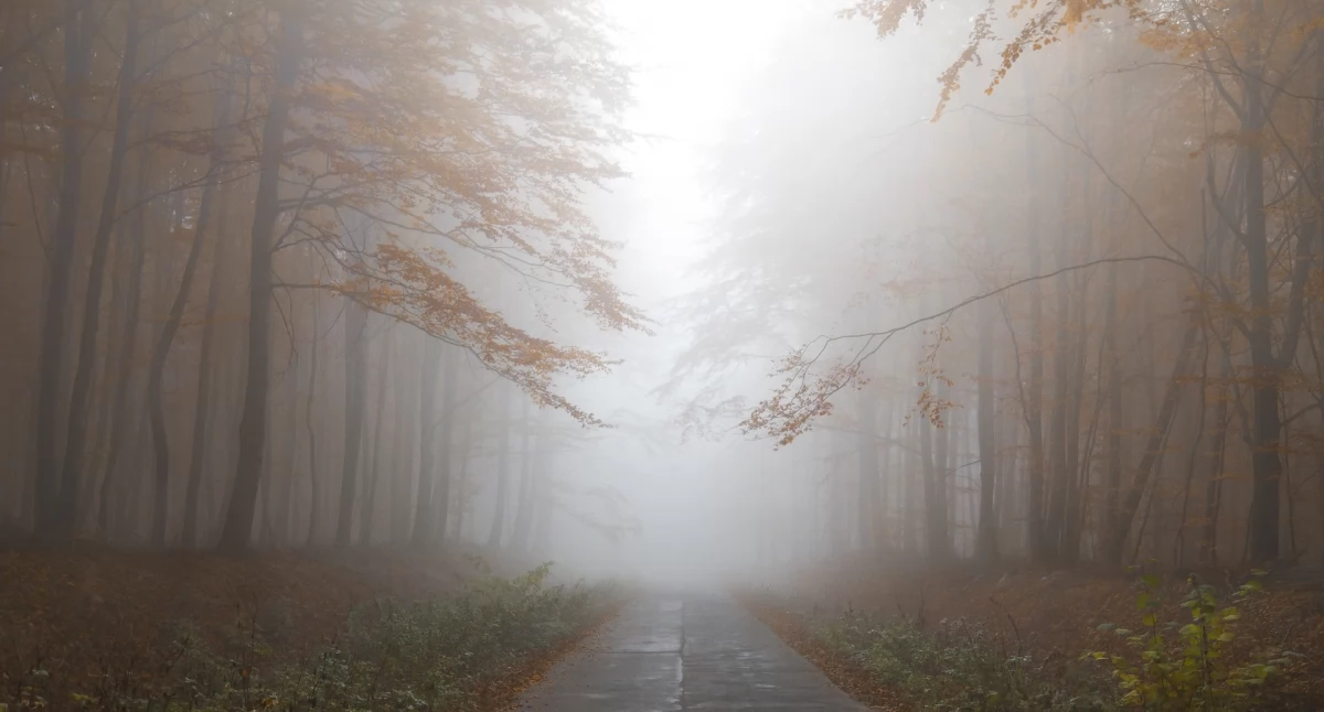 Zdjęcie poglądowe (pixabay.com)