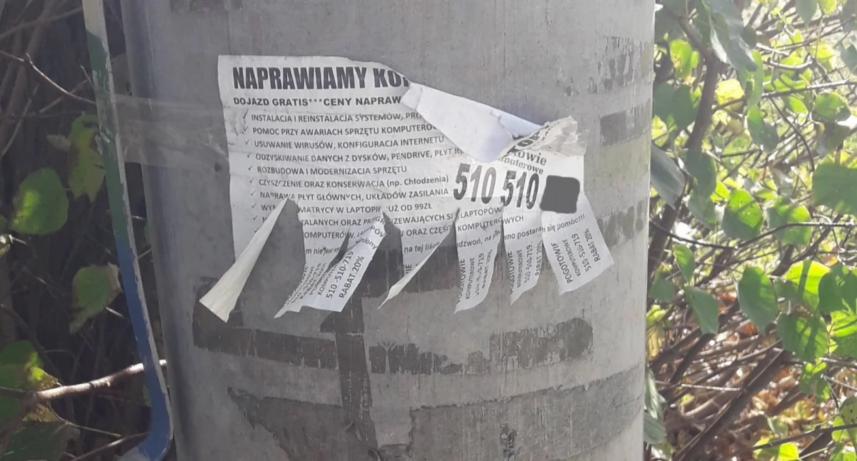 OD CZYTELNIKÓW, każdym słupie słupku rozkleja ogłoszenia - zdjęcie, fotografia