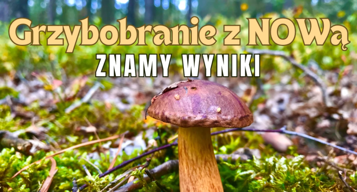 Dostaliśmy wiele pięknych zdjęć