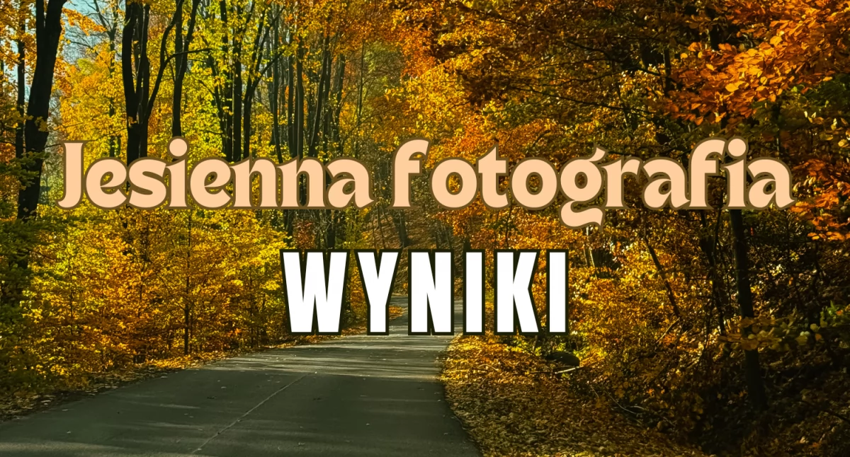 KONKURSY, Wyniki zabawy jesienne zdjęcie zdobył nagrody - zdjęcie, fotografia