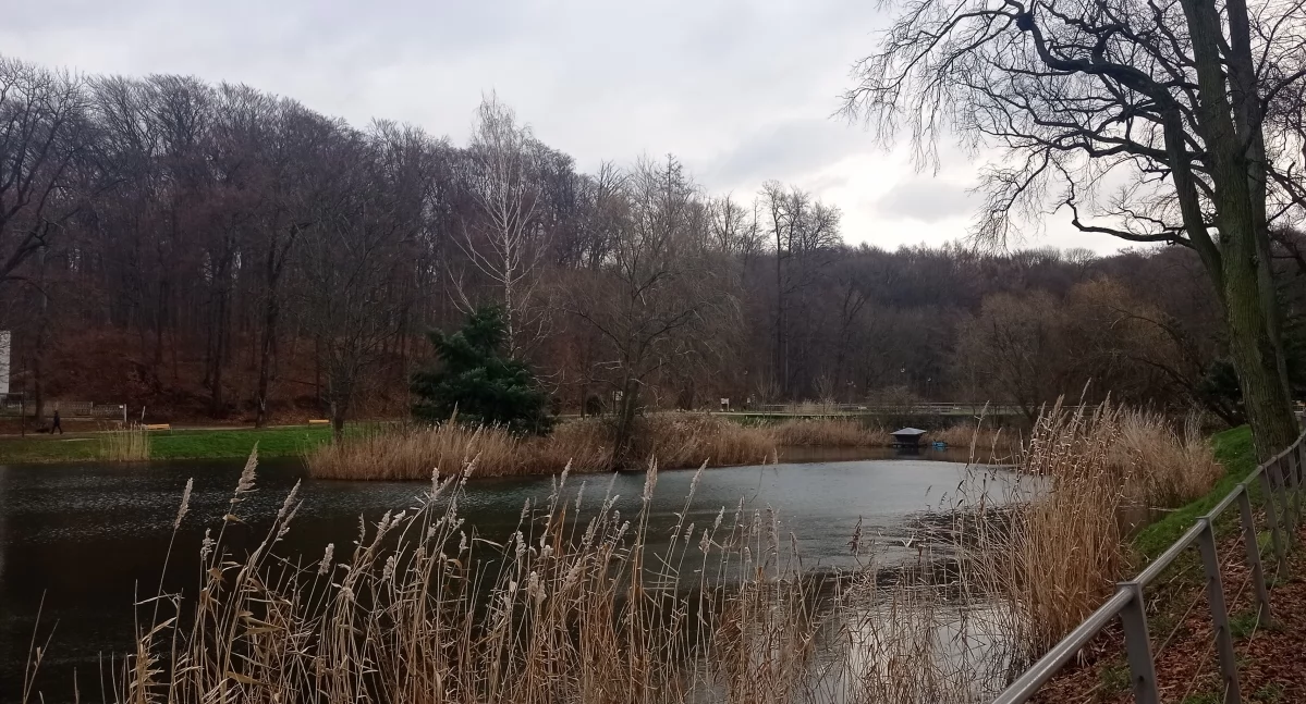 Dla kilku pokoleń trzebniczan Las Bukowy to miejsce relaksu.
