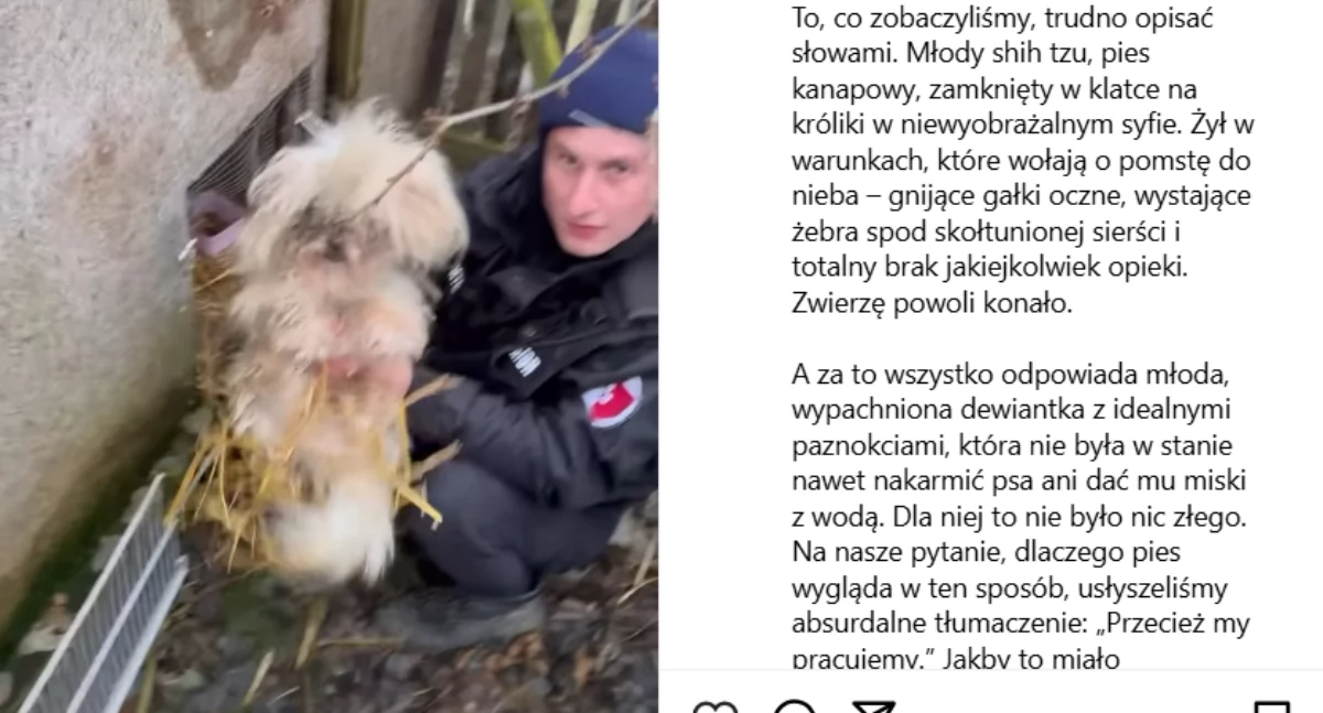 Fot.Zrzut z Instagram DIOZ