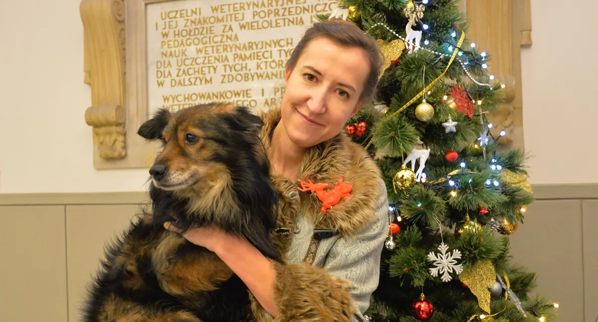 Dr Julia Miller, lekarz weterynarii i behawiorystka z UPWr