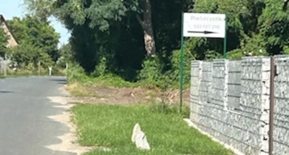 OD CZYTELNIKÓW, Sąsiedztwo kłopotliwe Dlaczego urzędnicy uwzględniają skarg - zdjęcie, fotografia