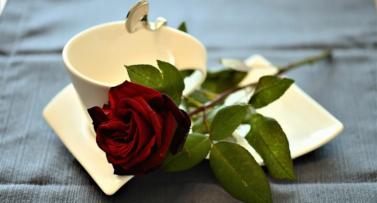 Fot. pixabay.com