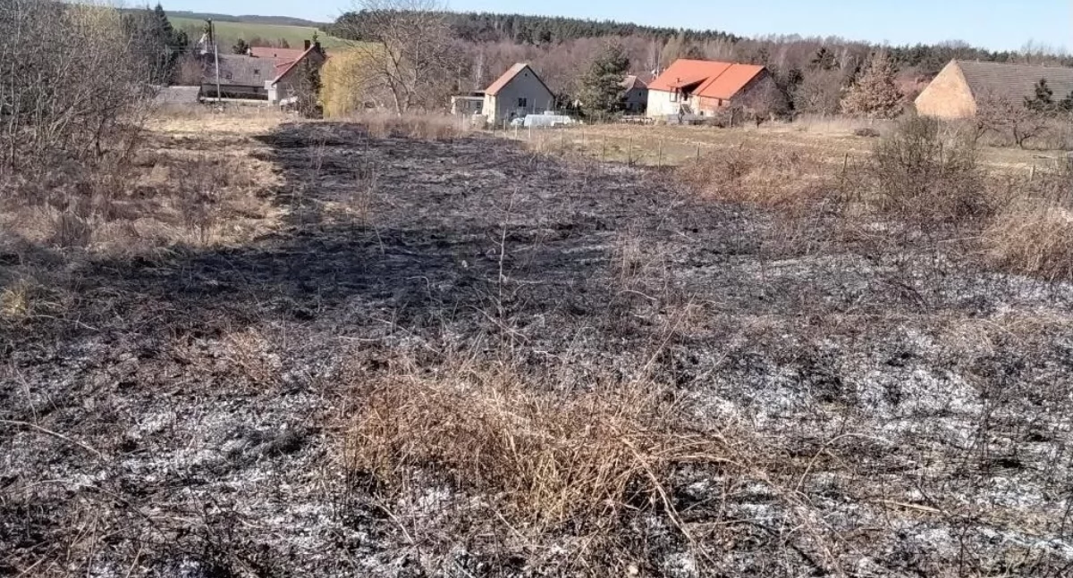 Na szczęście pożar nie zdążył się rozprzestrzenić i nie stanowił zagrożenia dla zabudowań (fot. KP PSP Trzebnica)