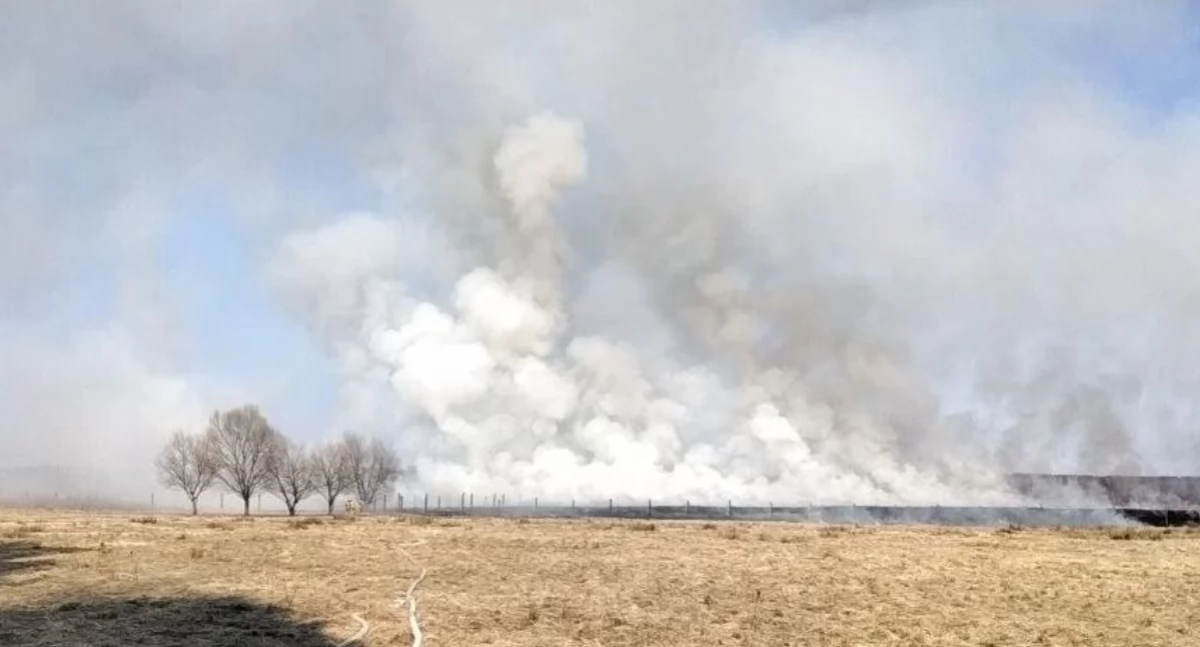 Pożar w Trzęsowicach, gdzie z ogniem walczyło 7 zastępów (fot. KP PSP Trzebnica)