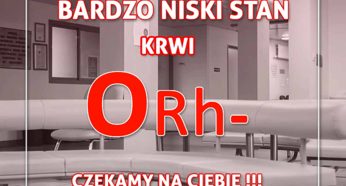 Fot. RCKiK Wrocław