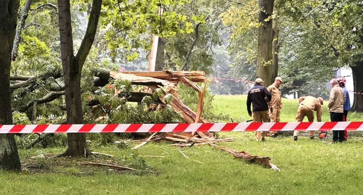 Trzebnica. Park im. Marii i Lecha Kaczyńskich