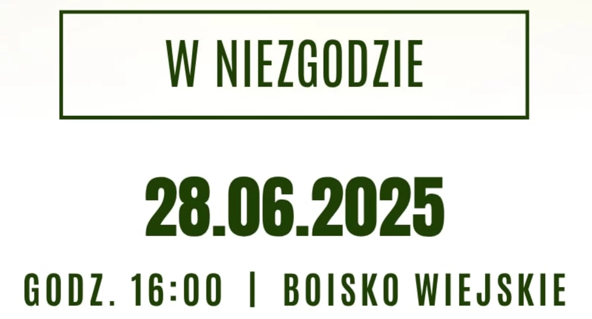 PIŁKA NOŻNA, Turniej piłki nożnej Niezgodzie - zdjęcie, fotografia