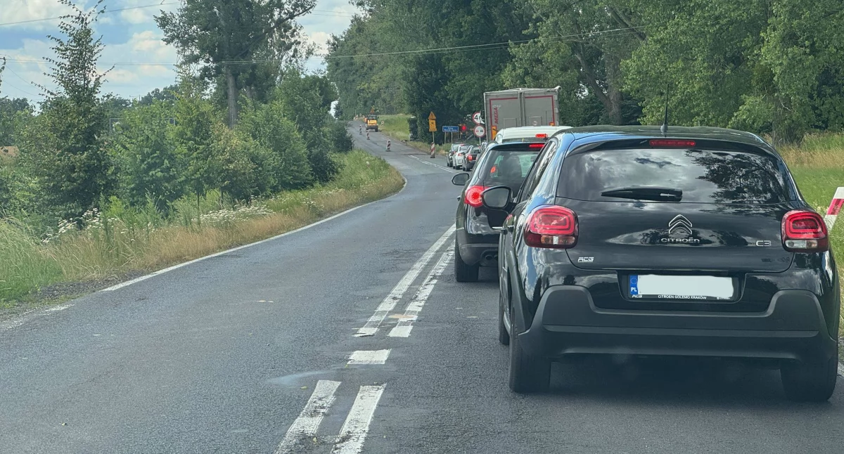 INWESTYCJE, Mieszkańcy skarżą korki drodze Trzebnica Oborniki - zdjęcie, fotografia