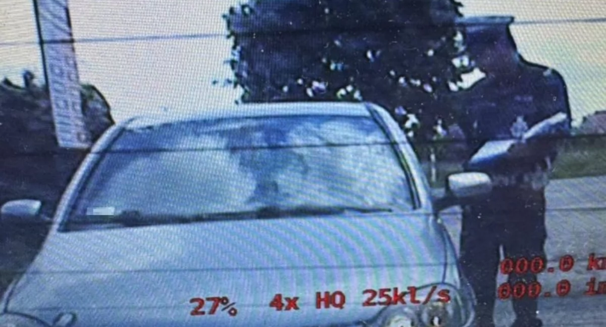 POZOSTAŁE ZDARZENIA, prawa jazdy pasów wyobraźni Wpadł podczas rutynowej kontroli - zdjęcie, fotografia
