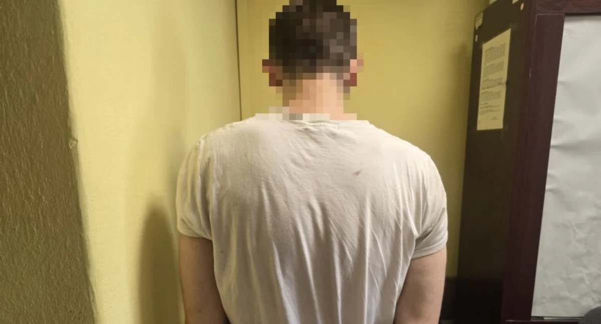 POZOSTAŁE ZDARZENIA, Kopał wyzywał funkcjonariuszy Postawiono zarzutów - zdjęcie, fotografia