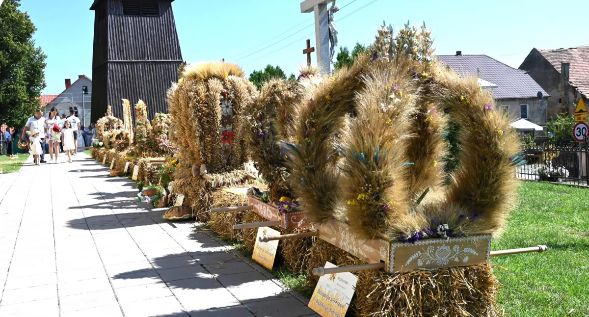 Fot. Gmina Wisznia Mała