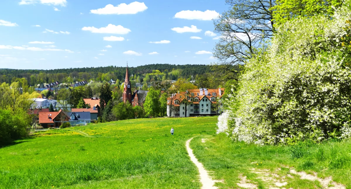 Z SAMORZĄDU, Gmina lupą znamy - zdjęcie, fotografia