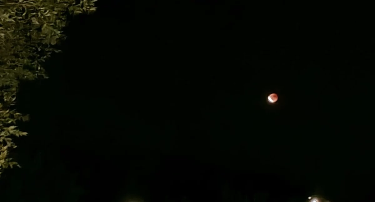 CIEKAWOSTKI, Spektakularne zjawisko astronomiczne Oglądaliśmy całkowite zaćmienie Księżyca - zdjęcie, fotografia