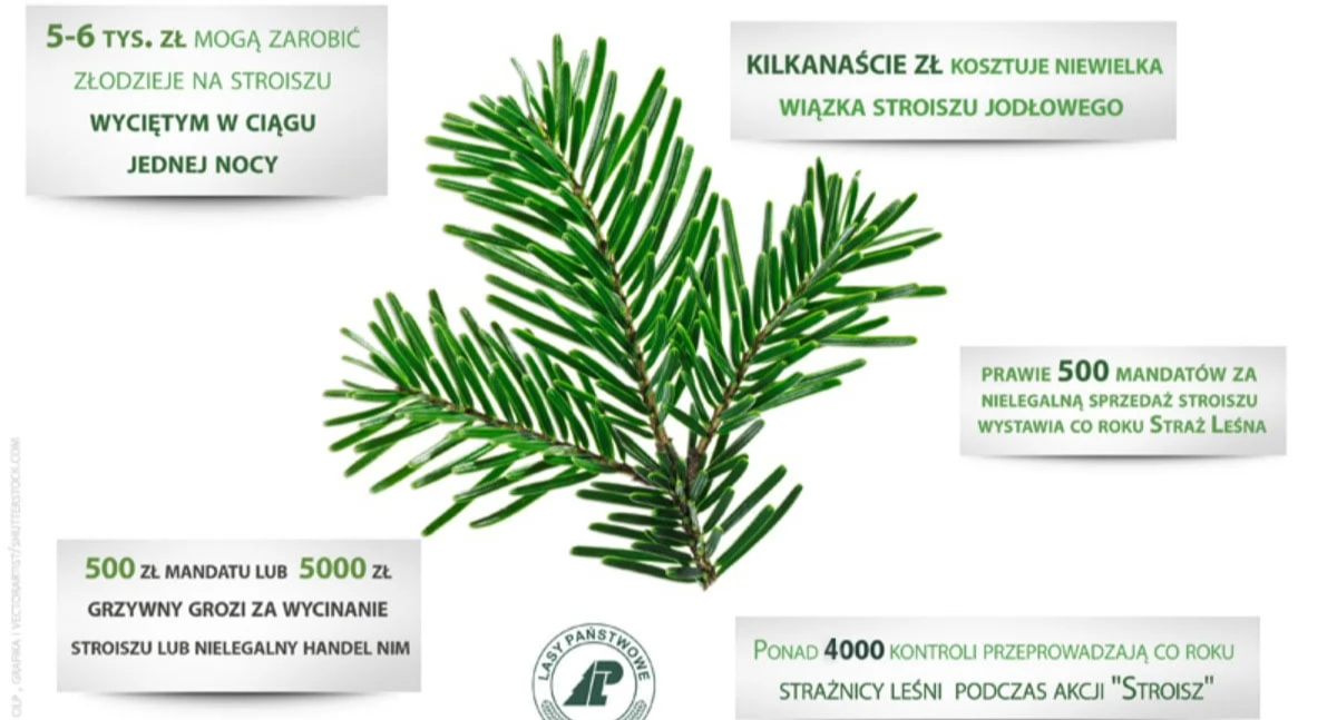 WARTO WIEDZIEĆ, Ruszyła akcja Stroisz kupuj kradzonego pomożesz chronić - zdjęcie, fotografia