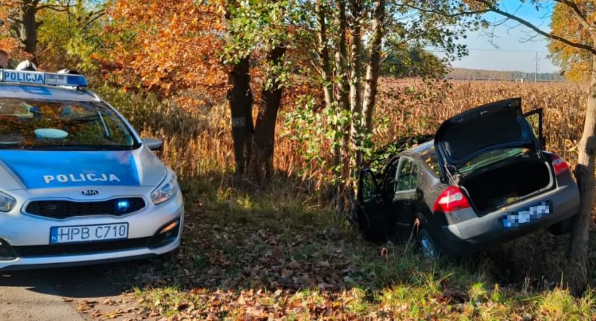 WYPADKI DROGOWE, Wypadł drogi miał prawa jazdy - zdjęcie, fotografia