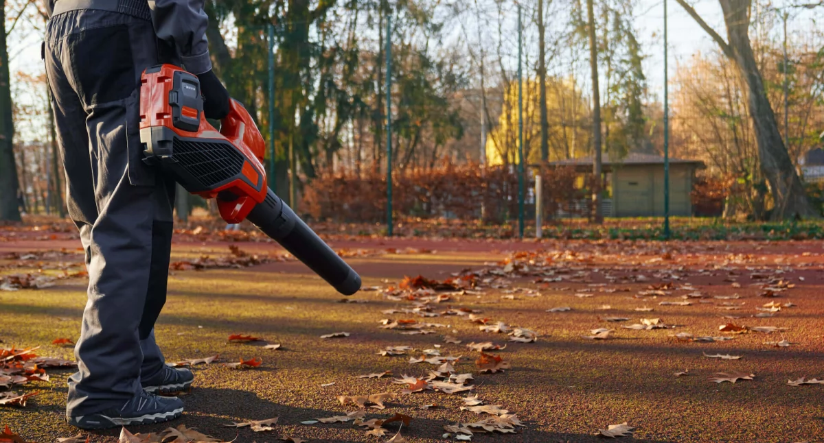 WARTO WIEDZIEĆ, wybrać odpowiednią dmuchawę liści Przewodnik - zdjęcie, fotografia