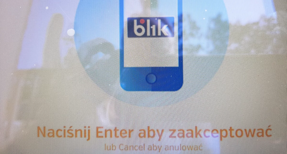 POZOSTAŁE ZDARZENIA, Obiecywali szybki zabrali wszystko latka straciła - zdjęcie, fotografia