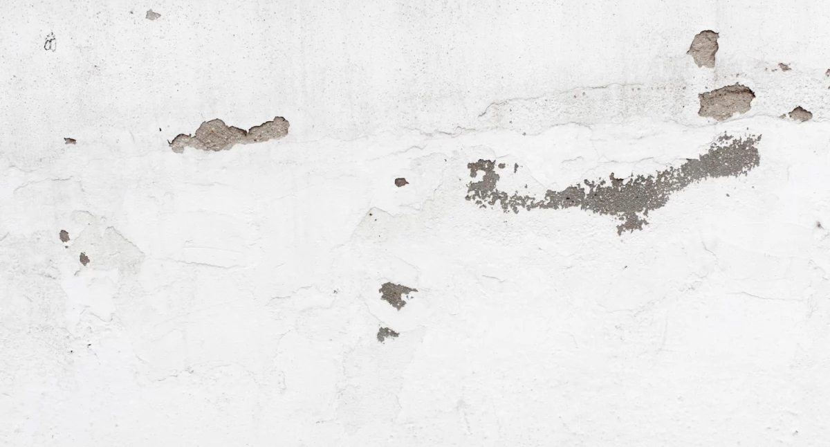 WARTO WIEDZIEĆ, Poradnik Skuteczne osuszanie budynków Dolnym Śląsku zadbać suchą bezpieczną przestrzeń - zdjęcie, fotografia