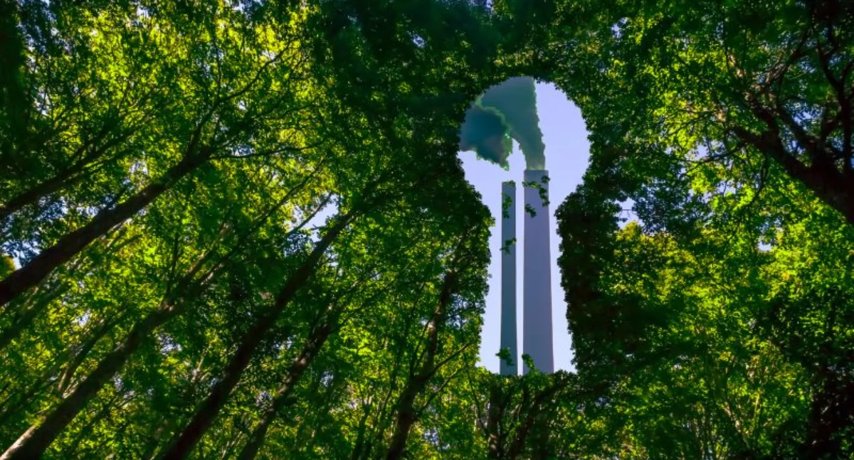 WARTO WIEDZIEĆ, Deklaracje środowiskowe życia produktu mierzalnie obniżyć wpływ firmy planetę - zdjęcie, fotografia