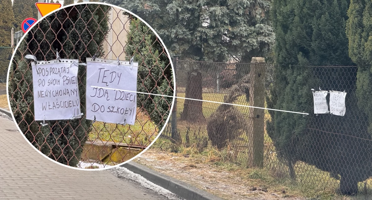 Takie kartki zawieszono na płocie przy ul. Okulickiego w Trzebnicy