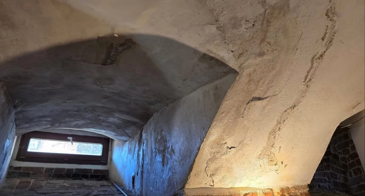 Z SAMORZĄDU, Wilgoć pleśń Pałacowa restauracja remontu - zdjęcie, fotografia