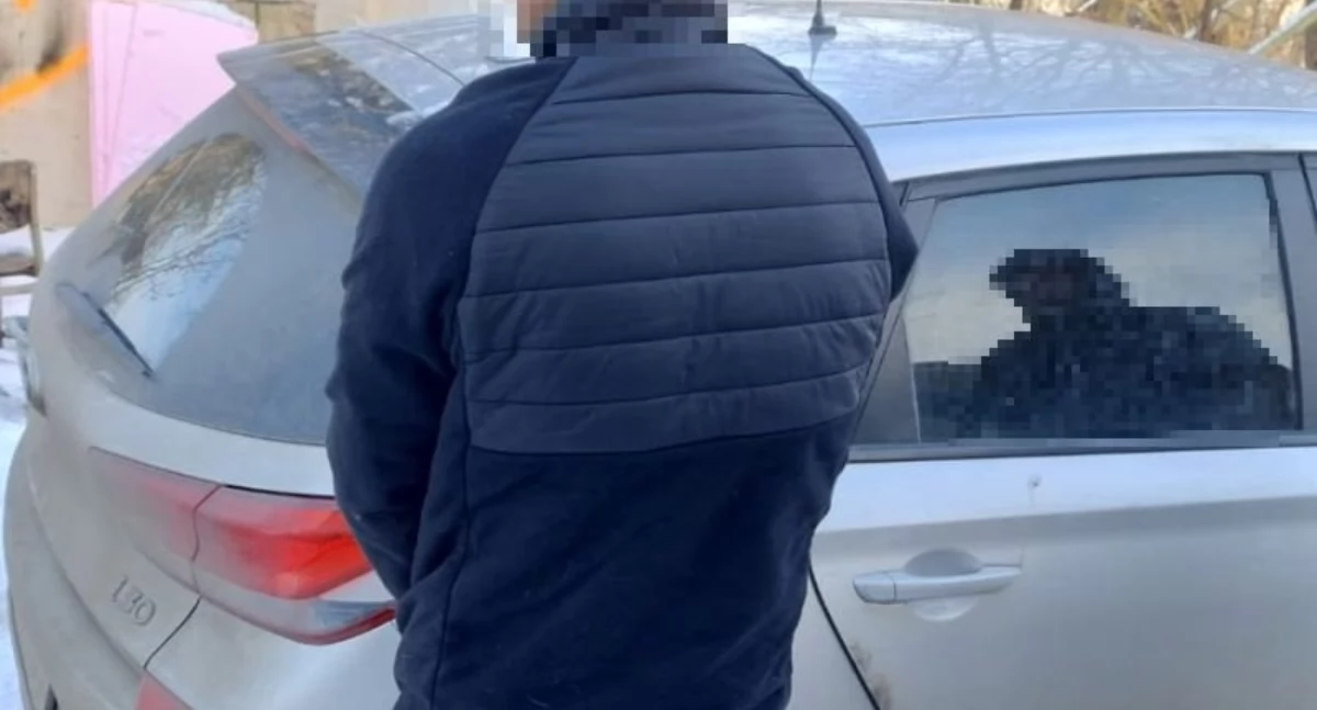 KRADZIEŻE, Podejrzane latek dziewięcioma zarzutami - zdjęcie, fotografia