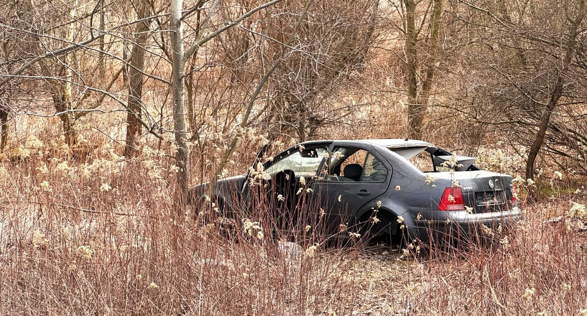 OD CZYTELNIKÓW, urzędniczy impas końcu przełom - zdjęcie, fotografia