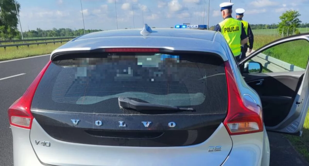 POZOSTAŁE ZDARZENIA, Groźna sytuacja ekspresówce Kierowca ledwo zjechał awaryjny - zdjęcie, fotografia