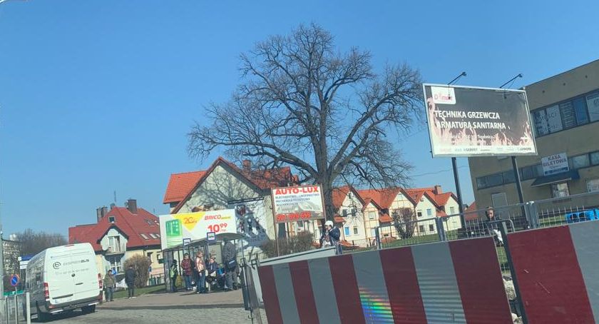 Z SAMORZĄDU, Burmistrz likwiduje przystanki autobusowe centrum Trzebnicy Przewoźnicy mieszkańcy zaskoczeni - zdjęcie, fotografia