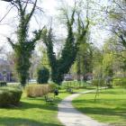 zdjęcie nr 63