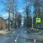 Na ulicy Wrocławskiej wiele drzew już wycięto