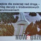 Fotka nr 4 z 21